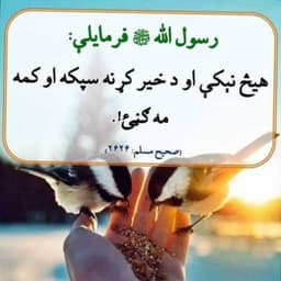 Hazrat Mohammad