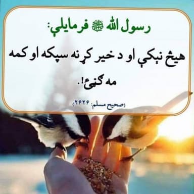 Hazrat Mohammad