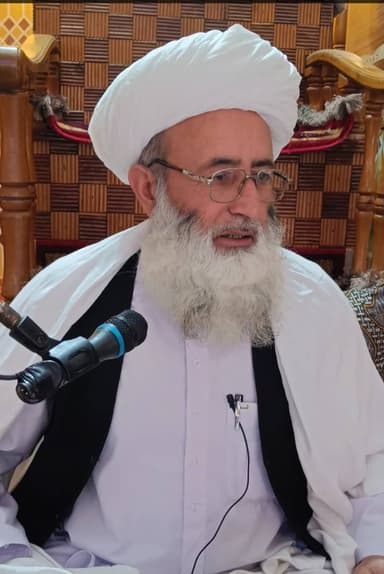 Sayeed Ul Mashayekh