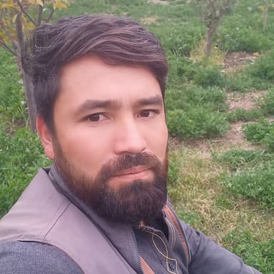 Safar Jan