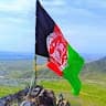 Qasim Hamdard