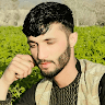 farshad mominy