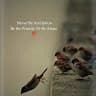 A.K.S Production
