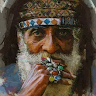 Habib Niazy