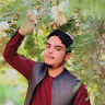 Adil khan Husanyar