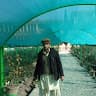 Mohammad Ajmal Jabarkhil