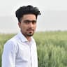 SayedMohammad Amini
