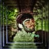 Bahauddin Ahmad