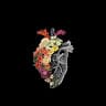 Bilal Noorzai