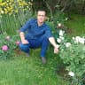 Sayed. sharafeddin Masumi