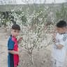 Amir Rahime