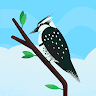 Hasib Ahmadi