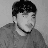Forviz Hemat