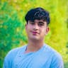 Burhan Aryan