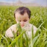 Ahmad Habibi