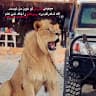 King Qais