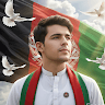 Ali qaderi