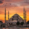 S Mustafa Hashemi