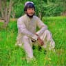 Sardar Wali