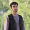 Zamir Bahaduri