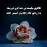 Hamed Jan