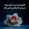 Hamed Jan