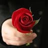 یازه نوای یاته نوای