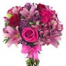 Arifhanifi786@gmail.com Hanifi