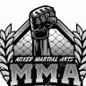 MMA UFC