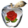 Shoaib Rahman