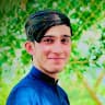 Zulmai wafa