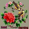 Khaled Majid