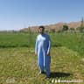 Yasir stanikzai