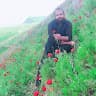 حمید الکوزی