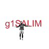 Salim Rostami