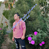 قربان شمس