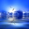 Blu Sky