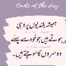 FB voice