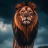 King Khan
