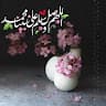 aziz ur rahman salarzai