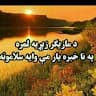 محمدنبی عادل