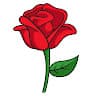Asim 2