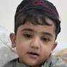 hamid lovely