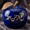 فتح الرحمن احمد
