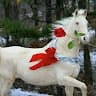 Khan M Omer