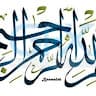 Spin Gul Anwari