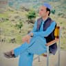 malik hamza