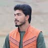 Hamid Safi