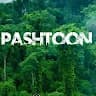 Qasim Shinwari