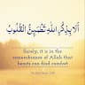 mohamad rasool